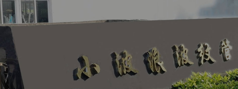 小波浪介紹